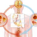 빠른마디척의원 이미지