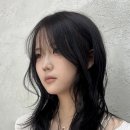 이도헤어 - 안양시 동안구 | 이도헤어
