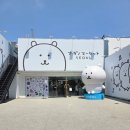 성수 나가노마켓 서울, 팝업 아닌 언제나 구매 가능한 농담곰 공식 스토어 몰루곰 사냥 후기