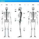 대흥빌딩 | [마포] 대흥역필라테스 <가꿈필라테스> 산후수강후기