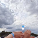 유부부서 | 즐거운기만나 6월 일상일기 두번째 (여름준비 다이어트, 페스티벌, 프로 하객러, 부동산 강의)