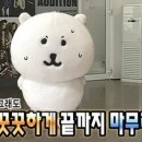 미래를 준비하는 부모, 기초 코딩과 AI로 시작하기 | 네이버 부스트캠프 AI Tech 8기 합격 후기