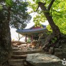 (주)본비코리아 이미지