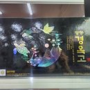 서정약국 이미지