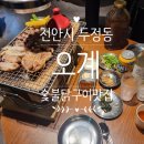오계제1소교량 | 천안시 두정동 소주 맥주 3000원 이벤트 사장님이 직접 구워주는 숯불닭구이 야키토리 맛집 [오계]