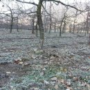 윤중공인중개사사무소 이미지