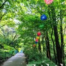 골안길 | 분당 구미동 '골안사'에서 '부처님오신날' 봉축기도 드리기