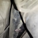 광산 라디에타 이미지