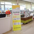 서구청 작은도서관 이미지