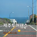 [제주투어패스] 파워 P의 여행계획 짜는 법 / 제주도 체험단으로 여행경비 아끼는 법 👍
