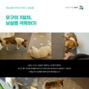 개님살롱 레이크사이드 이미지