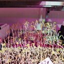 옥천농장 이미지