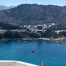 장호바다숲폔션 | 삼척 해상 케이블카 용화역 가격 할인 왕복 시간 겨울 여행 가볼만한 곳