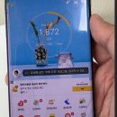 이노셀러 만보기 기계 내돈내산 후기