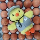 청미래농장 이미지