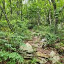 경남 함양군 백운산(1279m)의 흰구름 산그리메~.. 이미지