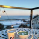 하비비 | 울진 조용한 오션뷰 카페 하비비 두 번째 방문 후기