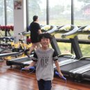 최기수복싱체육관 이미지