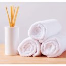 에스헤어 이미지