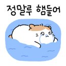 천안불당나의첫취미미술성인미술학원