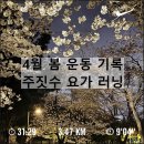 낮요가 | 4월 봄 운동 다이어트 기록 주짓수 요가 슬로우러닝 PT 체중 변화 식단