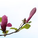 고려동유적지 이미지