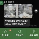 끌림 동물병원 이미지