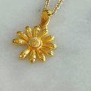 데이지플라워 이미지