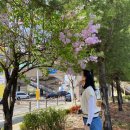 아이스크림스토리월곡루나밸리점 | 월곡정릉천산책 아이스크림스토리
