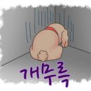일5컷 이미지