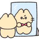 디어벌스데이 이미지