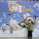 빼꼼 | 분당 한국잡월드 빼꼼 뮤지컬 후기, 6세 아이도 푹 빠진 공연