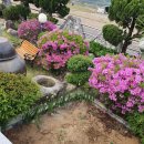 길안천 돌담집 이미지