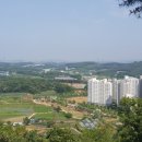 태성 행정사사무소 이미지