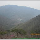 천태산농원 이미지