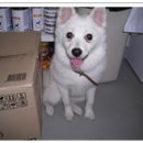 보광동물병원 이미지