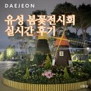 더 빛나개 | 유성 봄꽃전시회 2026 유림공원 실시간 후기 (+야경, 포토존)