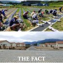 유치1농장 이미지