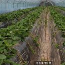 호반농장 이미지