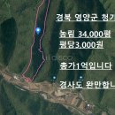 경사도 완만한 임야 3.3제곱당3,000원입니다 이미지