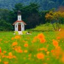 평창향교 | 홍천 지명의 역사, 향토음식 TOP5, 가을 명소 추천