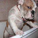 개성시대 이미지