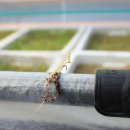 안의농약사 이미지