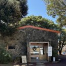 감성목장 | [공지] [제주 서귀포] 감성카페 ‘밭디’ 솔직후기 (예쁜소품, 목장체험, 인생사진 건지는 곳!)