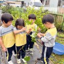 동명어린이집 이미지