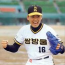 쌍방울 이미지