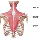 달천한의원 | [대구 필라테스] 굽은등 자세 교정과 운동방법은?