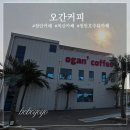상덕로87카페 | 호수 뷰와 장미가 반겨주는 힐링 공간 오간커피 재방문 후기