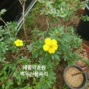 세종약초원 이미지