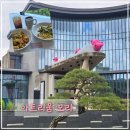 성주 아이와 함께 가볼 만한 곳 [아트리움 모리] 전시관 모리굿즈 후기